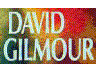 DAVID GILMOUR